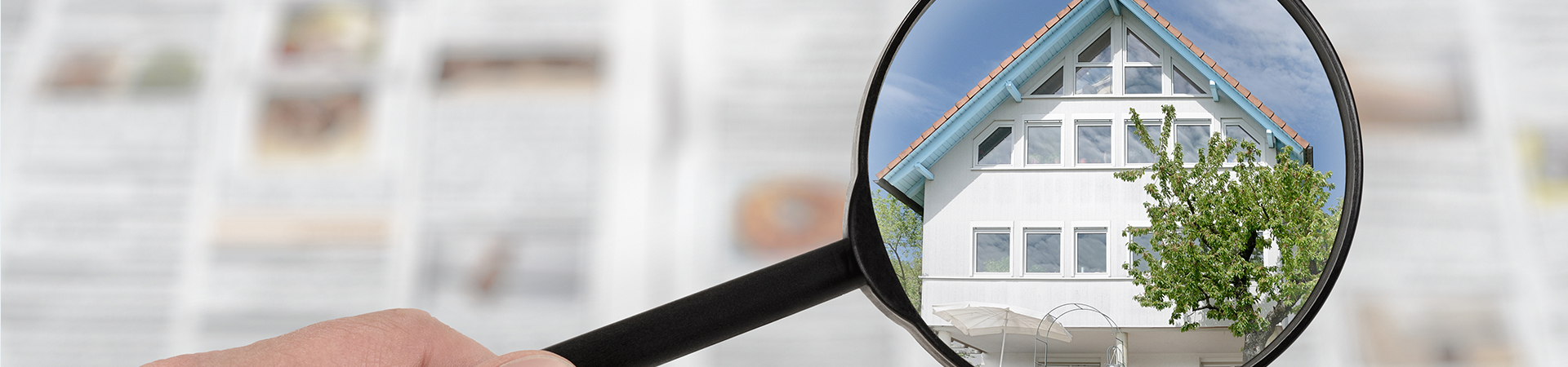 2025'te Sofia Gayrimenkul